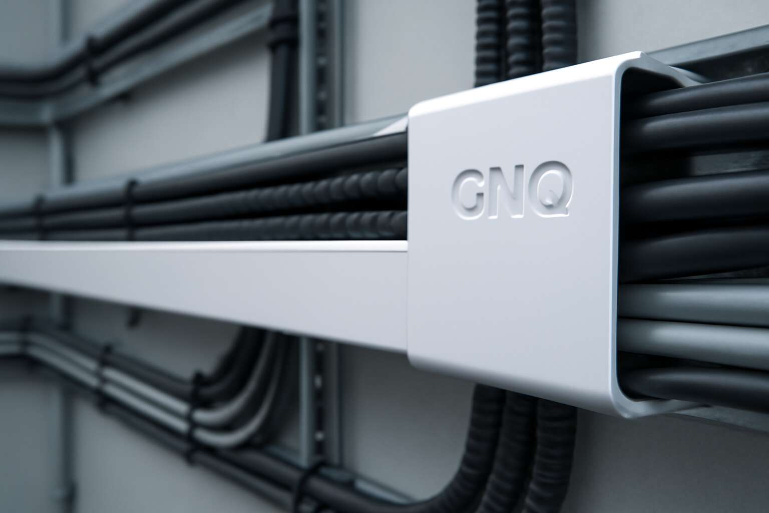 qnq trunking